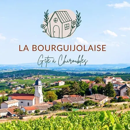 Holiday home La Bourguijolaise *